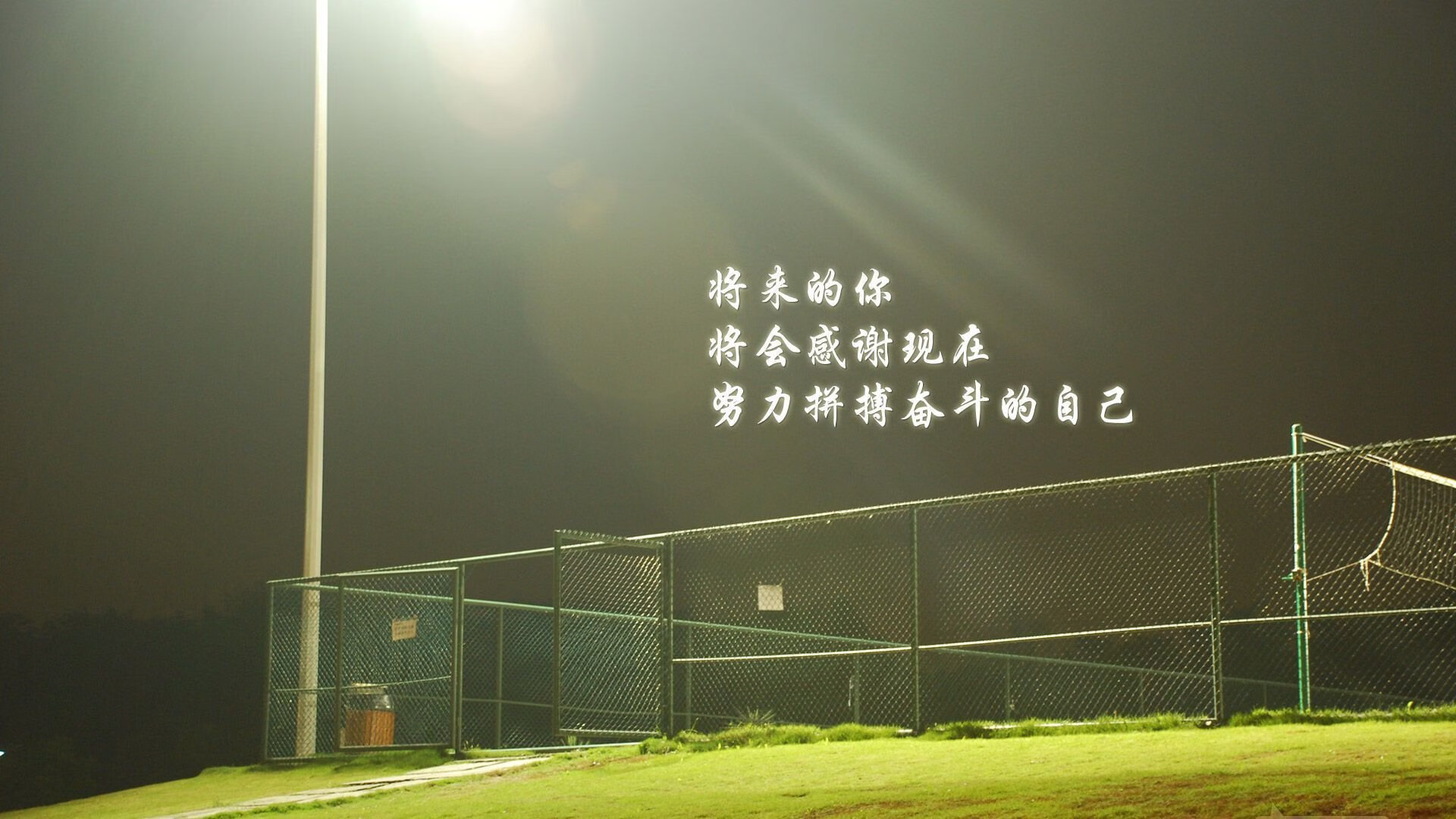 _城际骑行比赛：城市之间的极速旅程_，城市赛自行车