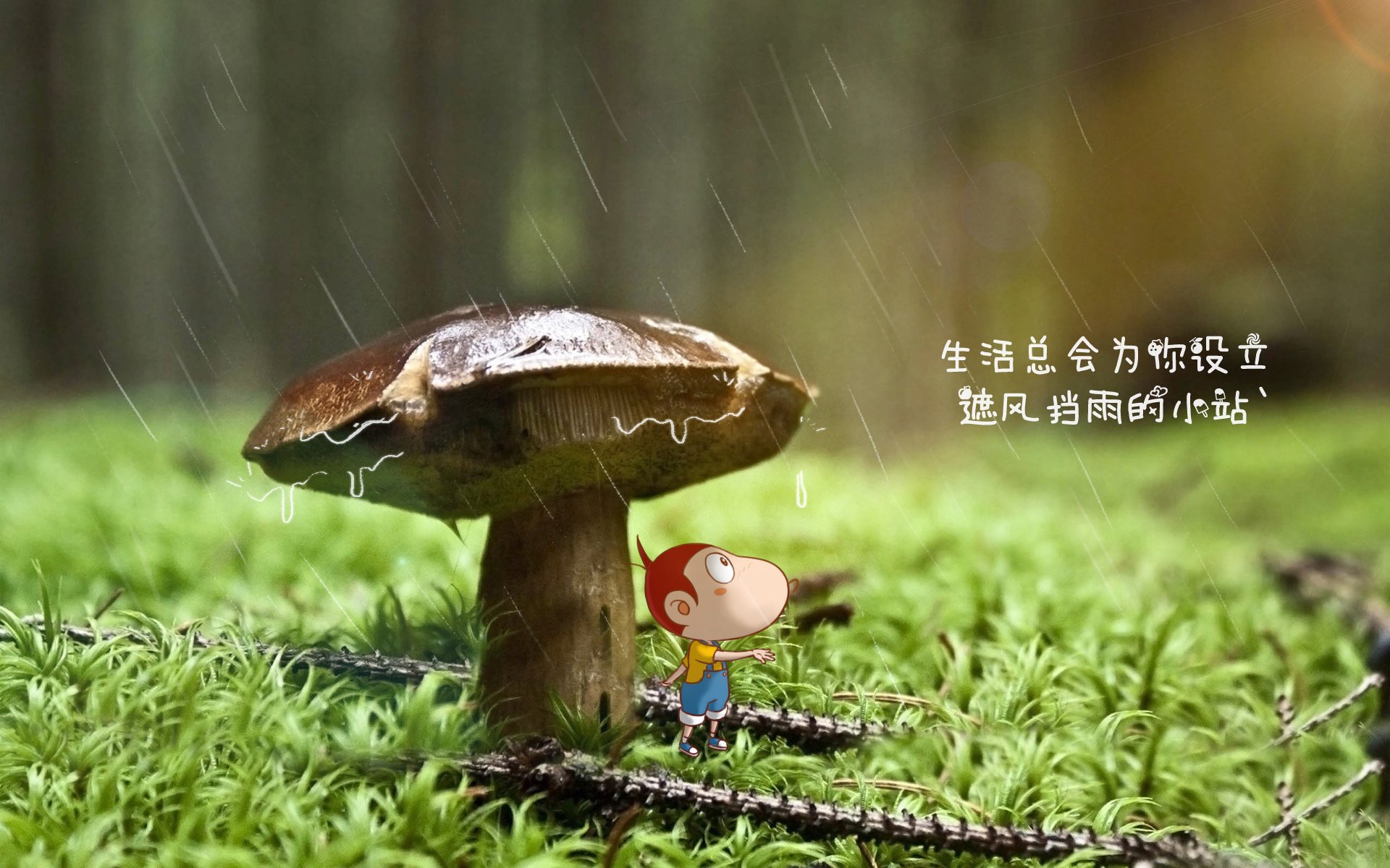 特色山地骑马赛，穿越草原的速度与激情，骑马上山视频