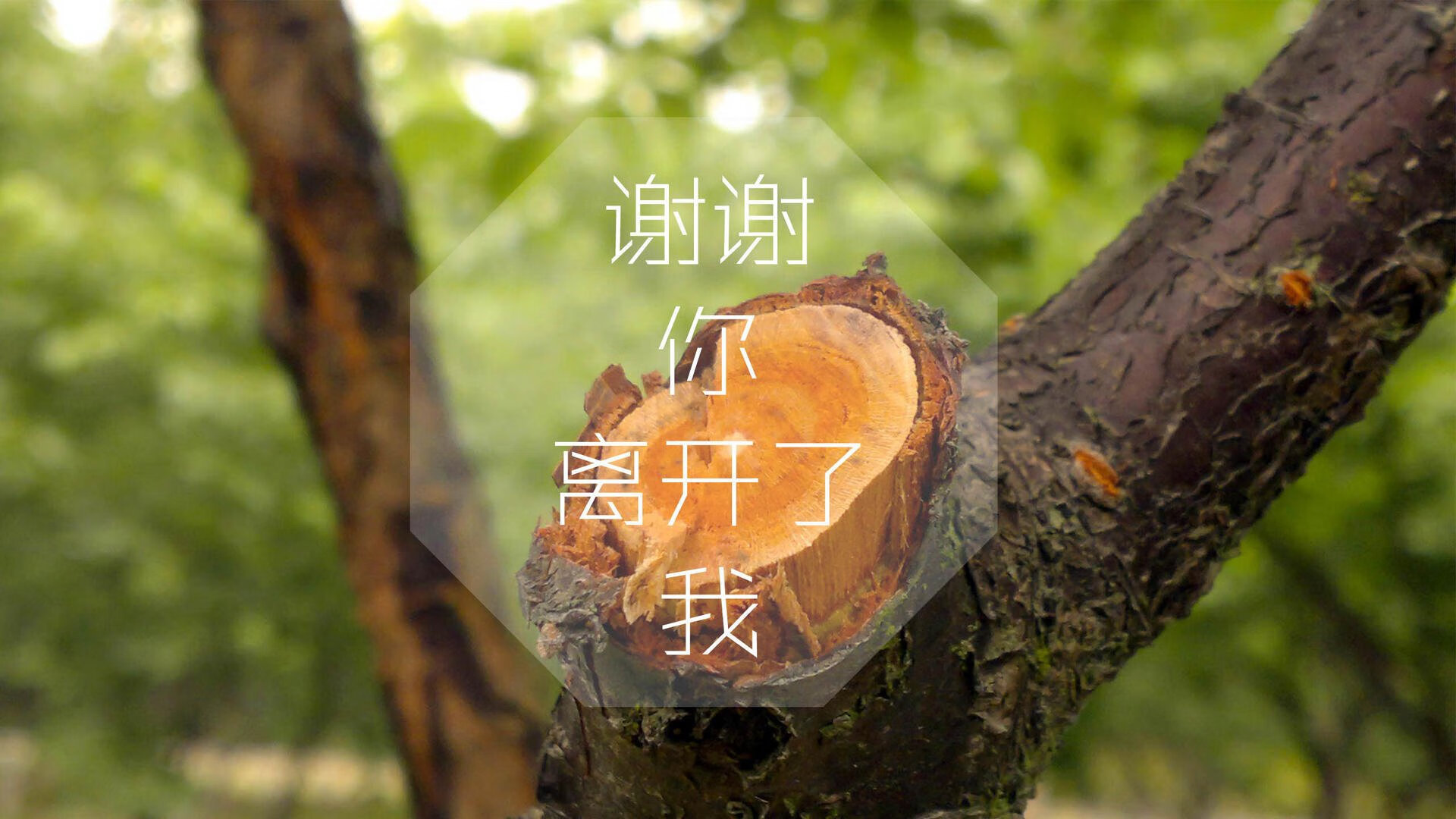 青少年“篮球未来计划”在全国范围内全面铺开，青少年篮球发展趋势
