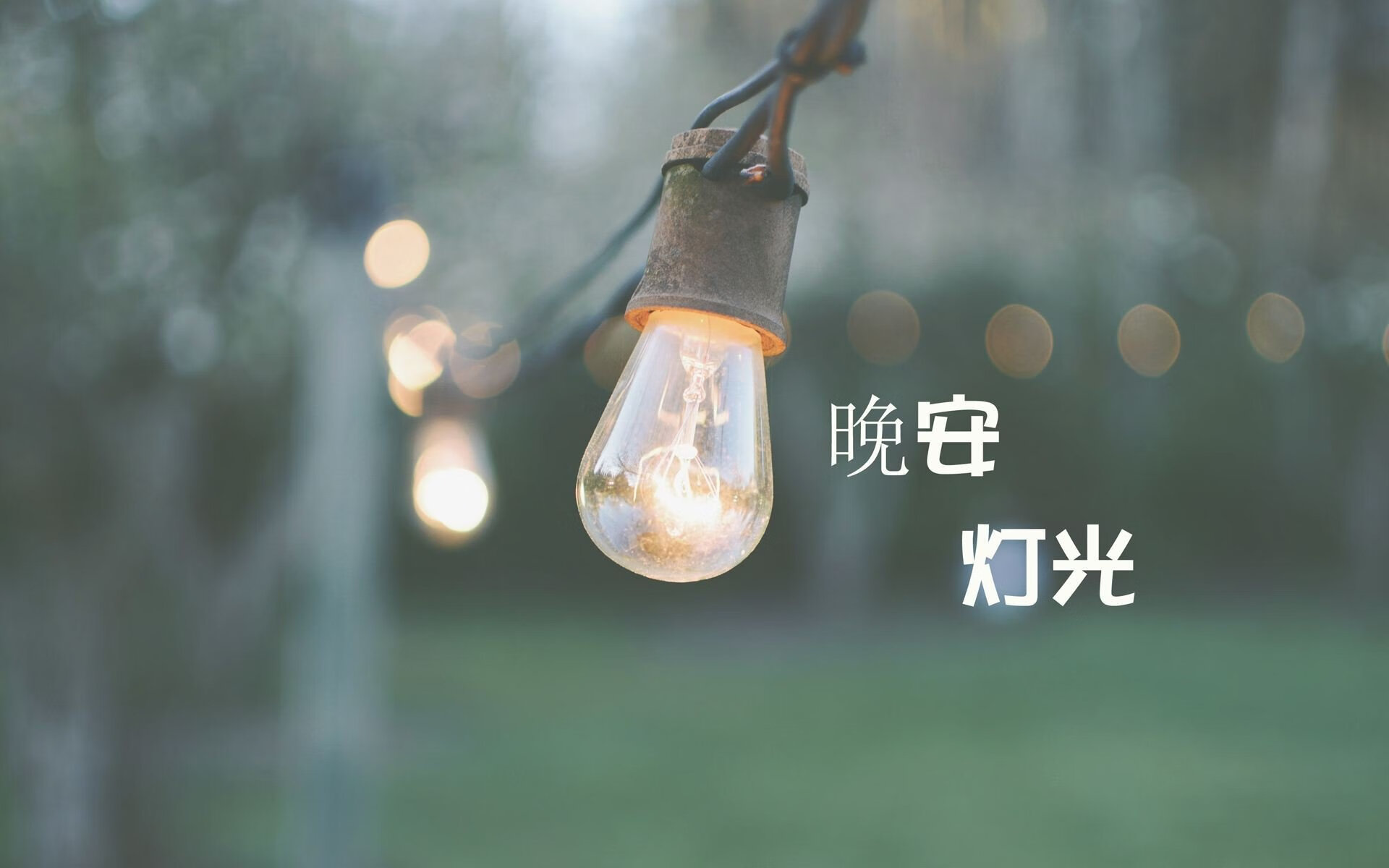 开云中国-公牛队年轻核心球员提升场均得分，公牛队最强的一年