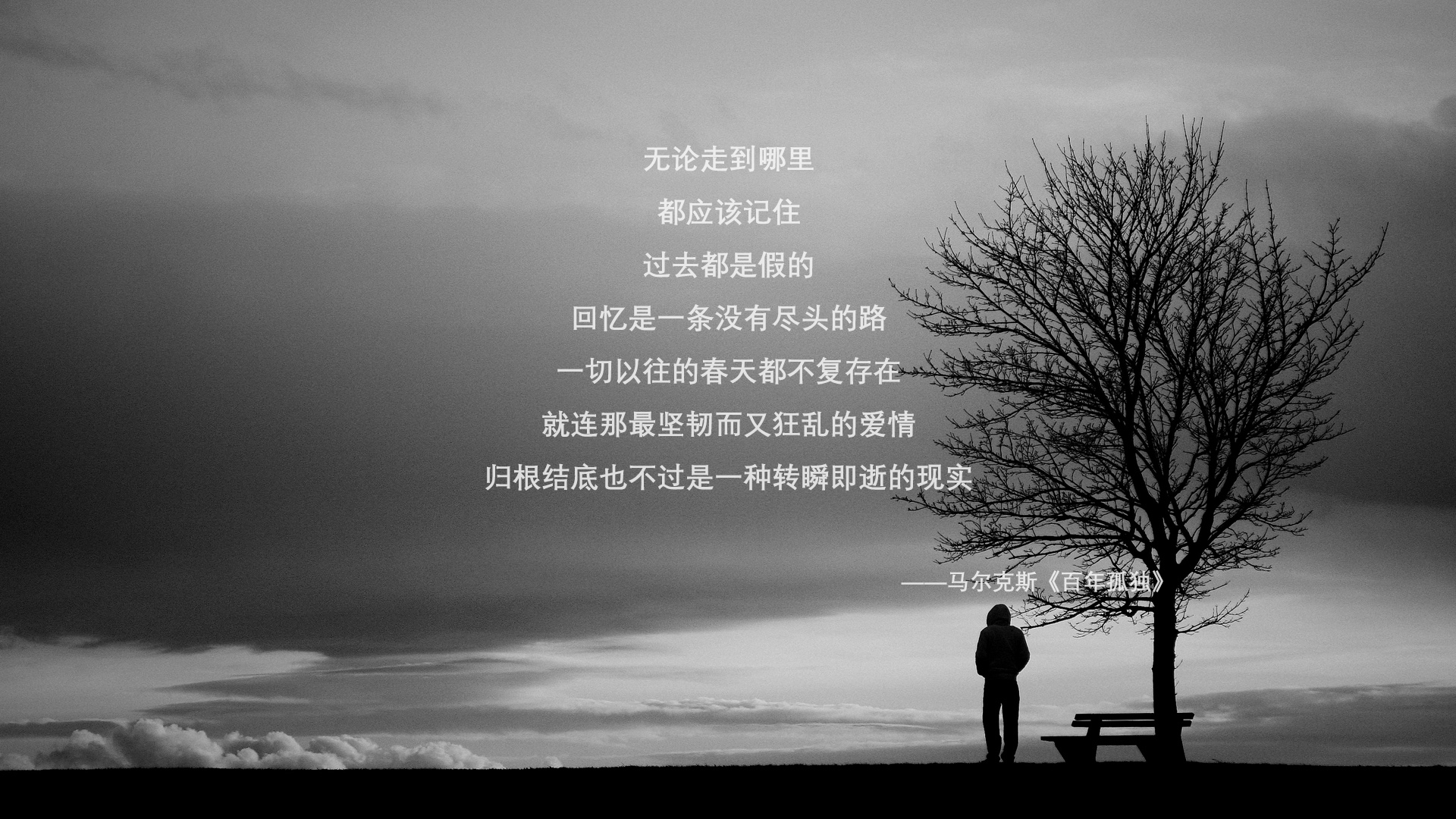 山西汾酒新秀球员训练表现抢眼，山西汾酒队现在名单