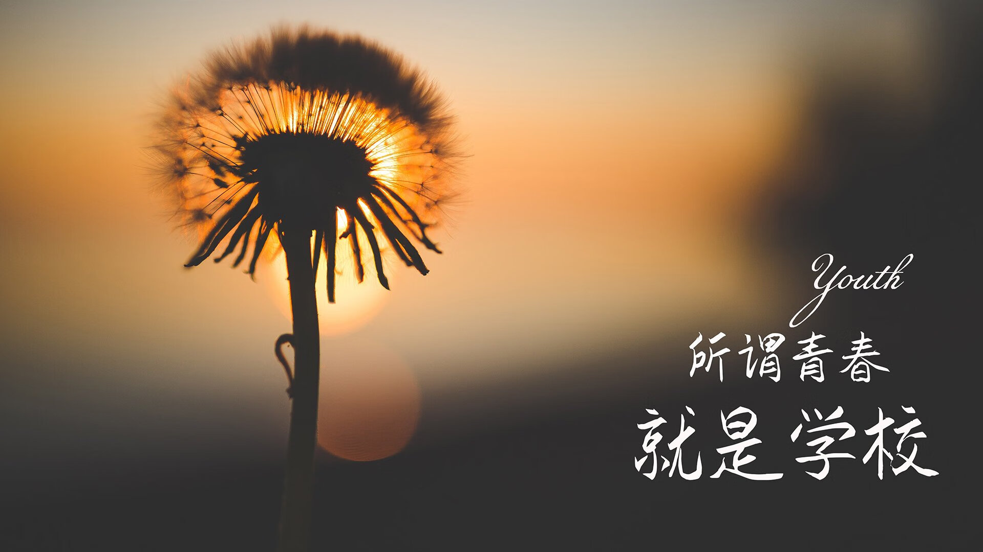体育新闻中心共建体育广播多场景传播网络，体育广播宣传语