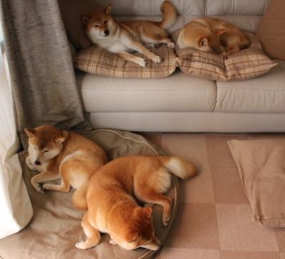 梅西突破全场防线,助阿根廷重振士气