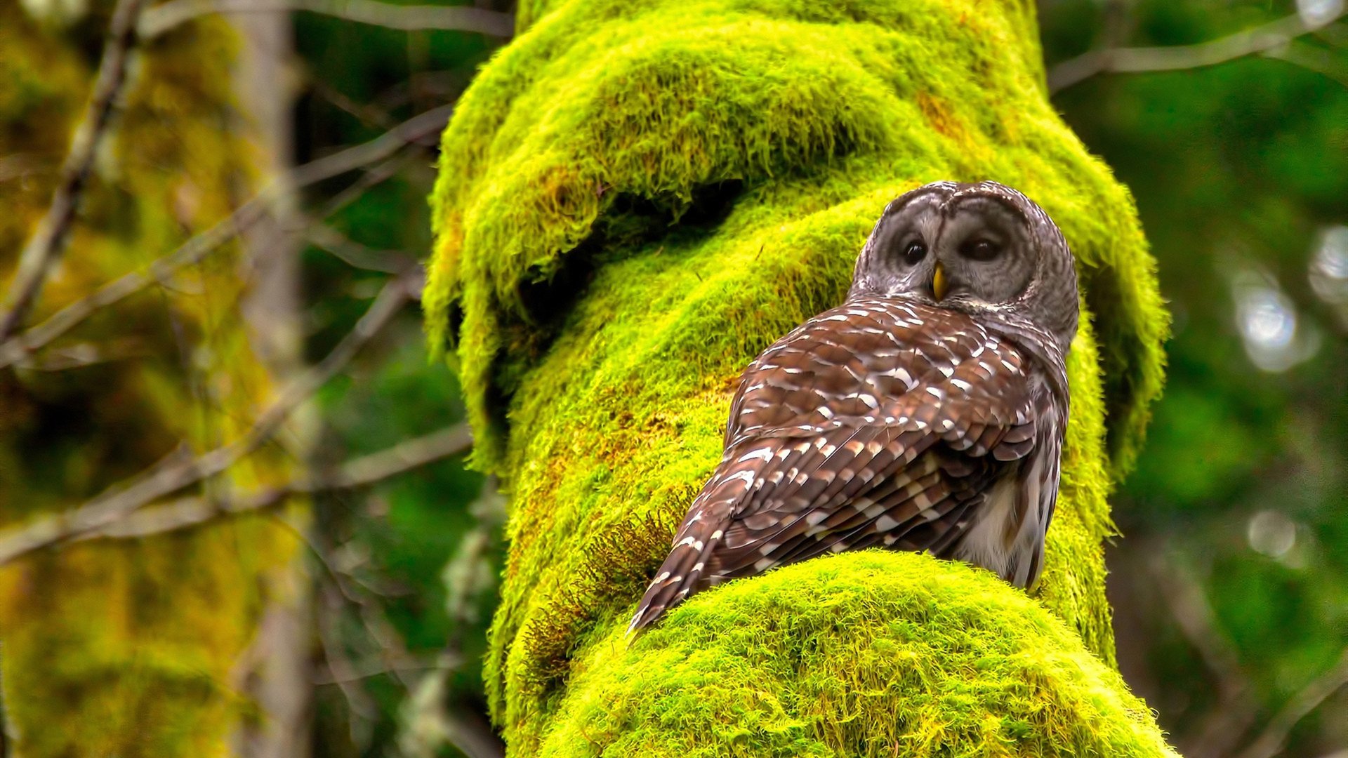 欧洲杯热身赛教练战术试验场,欧洲热身赛赛程