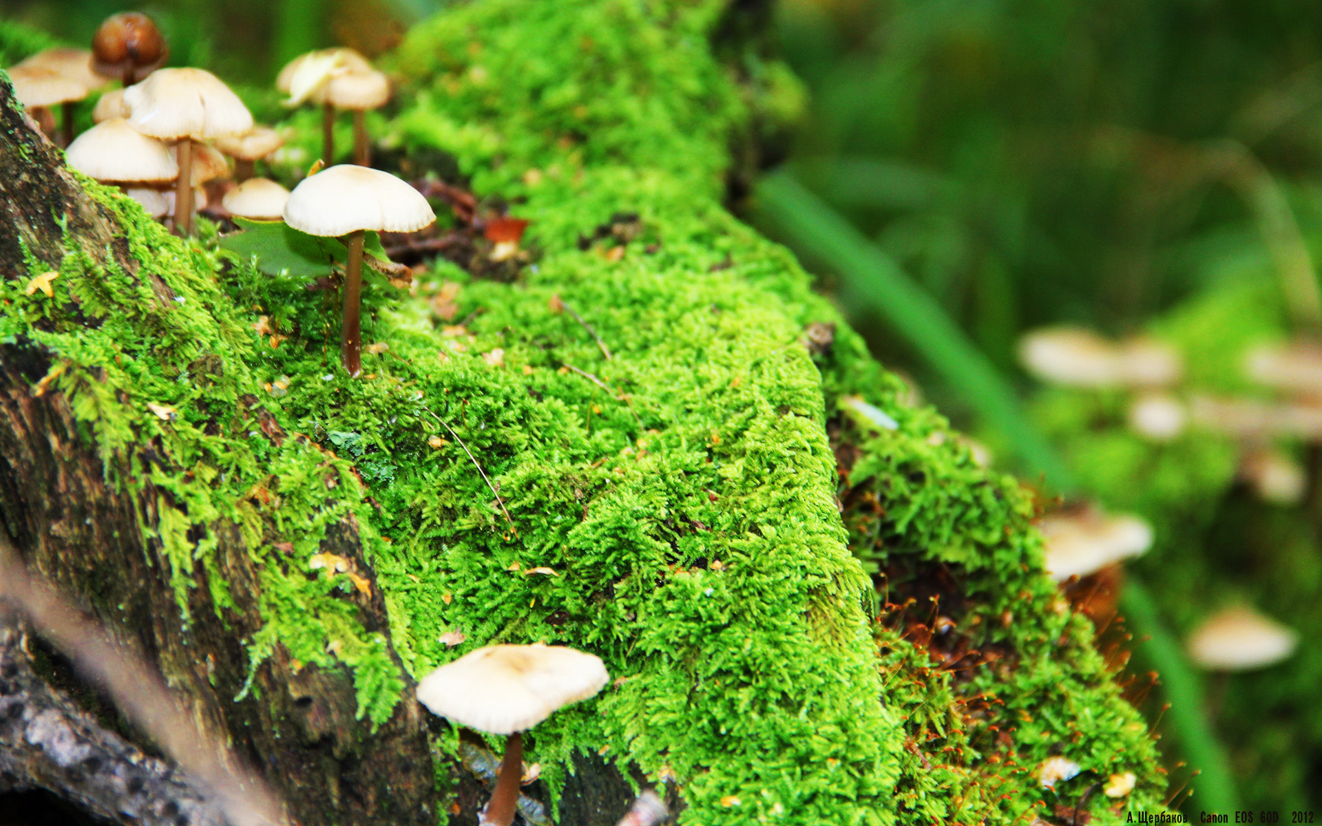 男子国家队强化外线投射提升进攻多样性