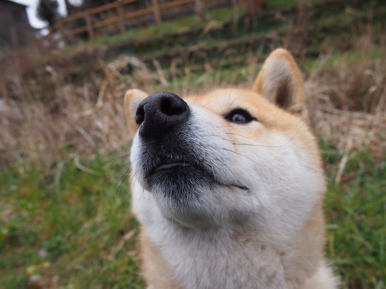 青训体系引入电子围栏训练法提升控球空间感