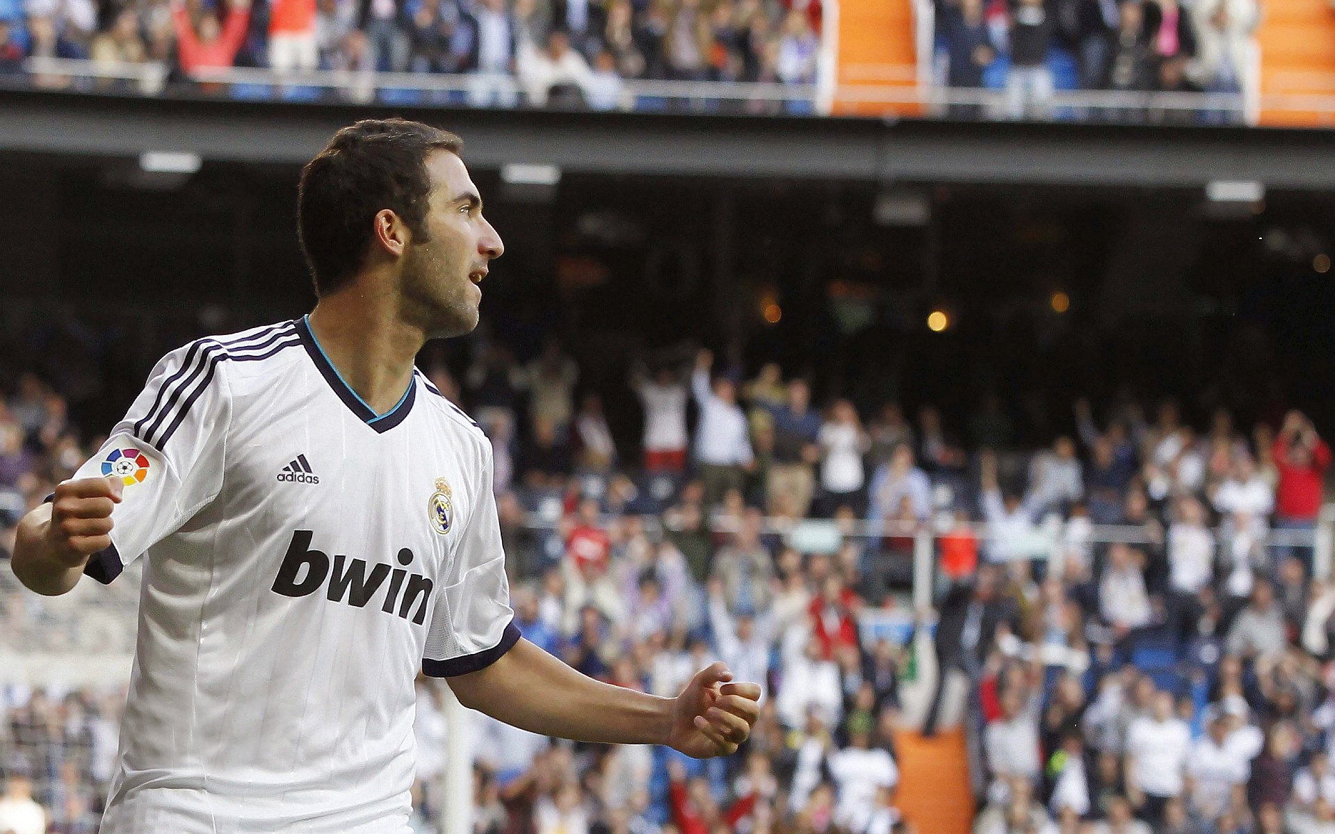 德甲升班马连续获胜，排名快速上升，本赛季德甲升班马